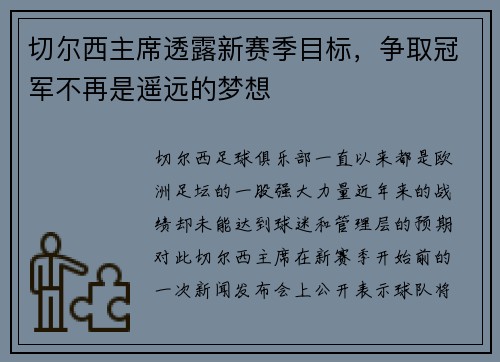 切尔西主席透露新赛季目标，争取冠军不再是遥远的梦想